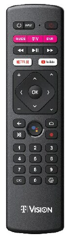 An image of the TVision Remote